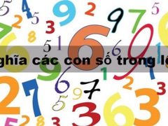 Sơ lược ý nghĩa 99 con số đề