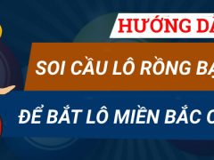 Hướng dẫn soi cầu lô Rồng Bạch Kim để bắt lô miền Bắc